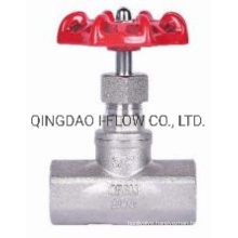 Globe Valve Threaded 200psi/Pn16 Wcb/CF8/CF8m/CF3m ANSI B2.1/ BS21/ISO7/1